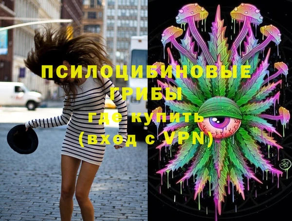 спиды Новозыбков
