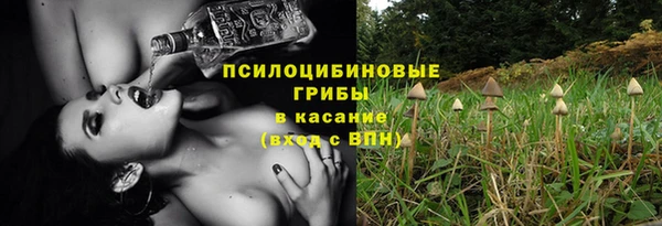 гидропоника Алзамай