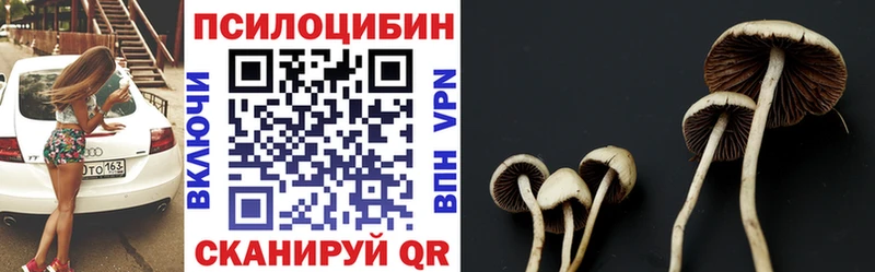 Псилоцибиновые грибы Cubensis  где купить наркотик  Салават 