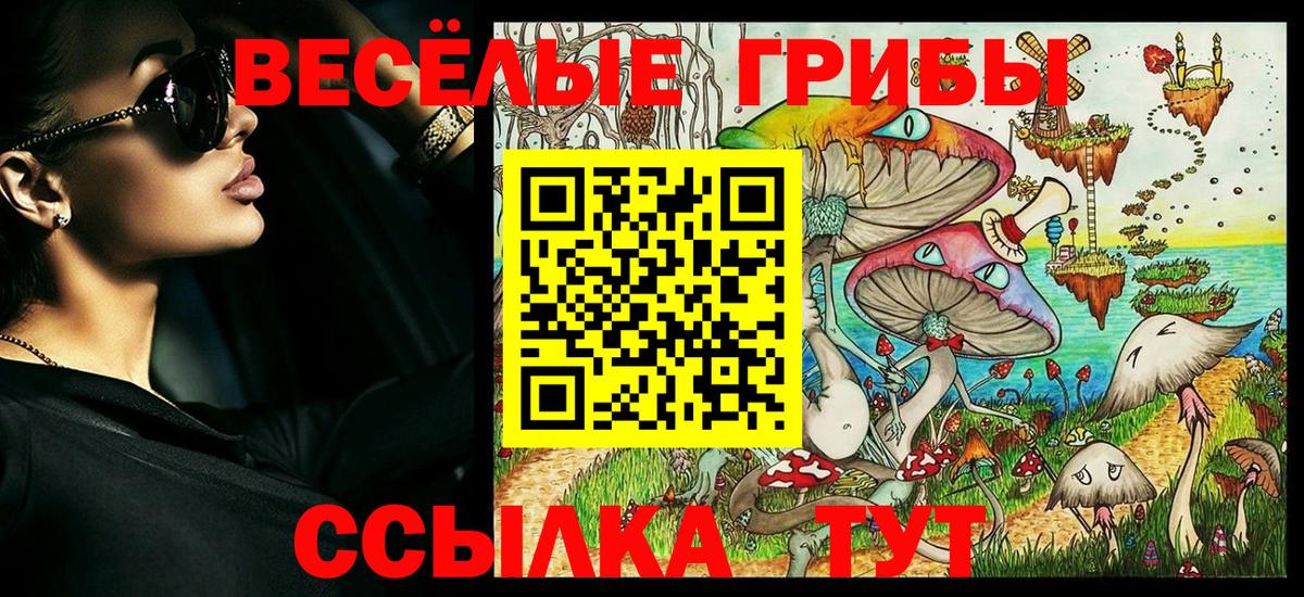 Псилоцибиновые грибы мухоморы Салават