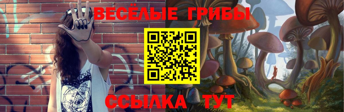 Салават  Псилоцибиновые грибы мицелий  Галлюциногенные грибы прущие грибы  Вход с VPN 